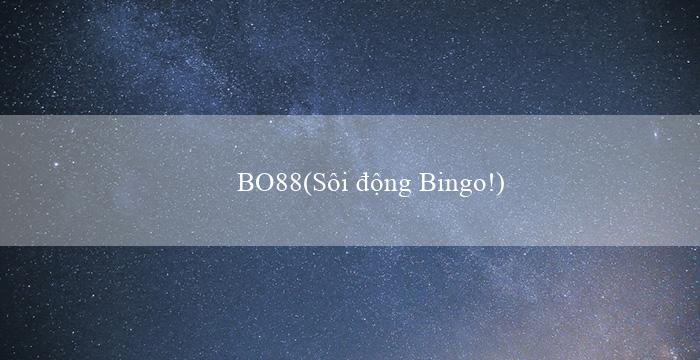 BO88(Sôi động Bingo!)