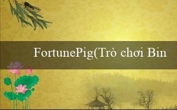 FortunePig(Trò chơi Bingo Sôi Động)