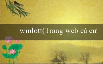 winlott(Trang web cá cược Vo88 trong phiên bản mới)